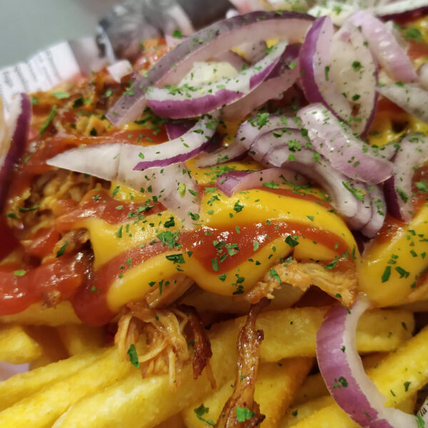 Pulled Chicken Fries