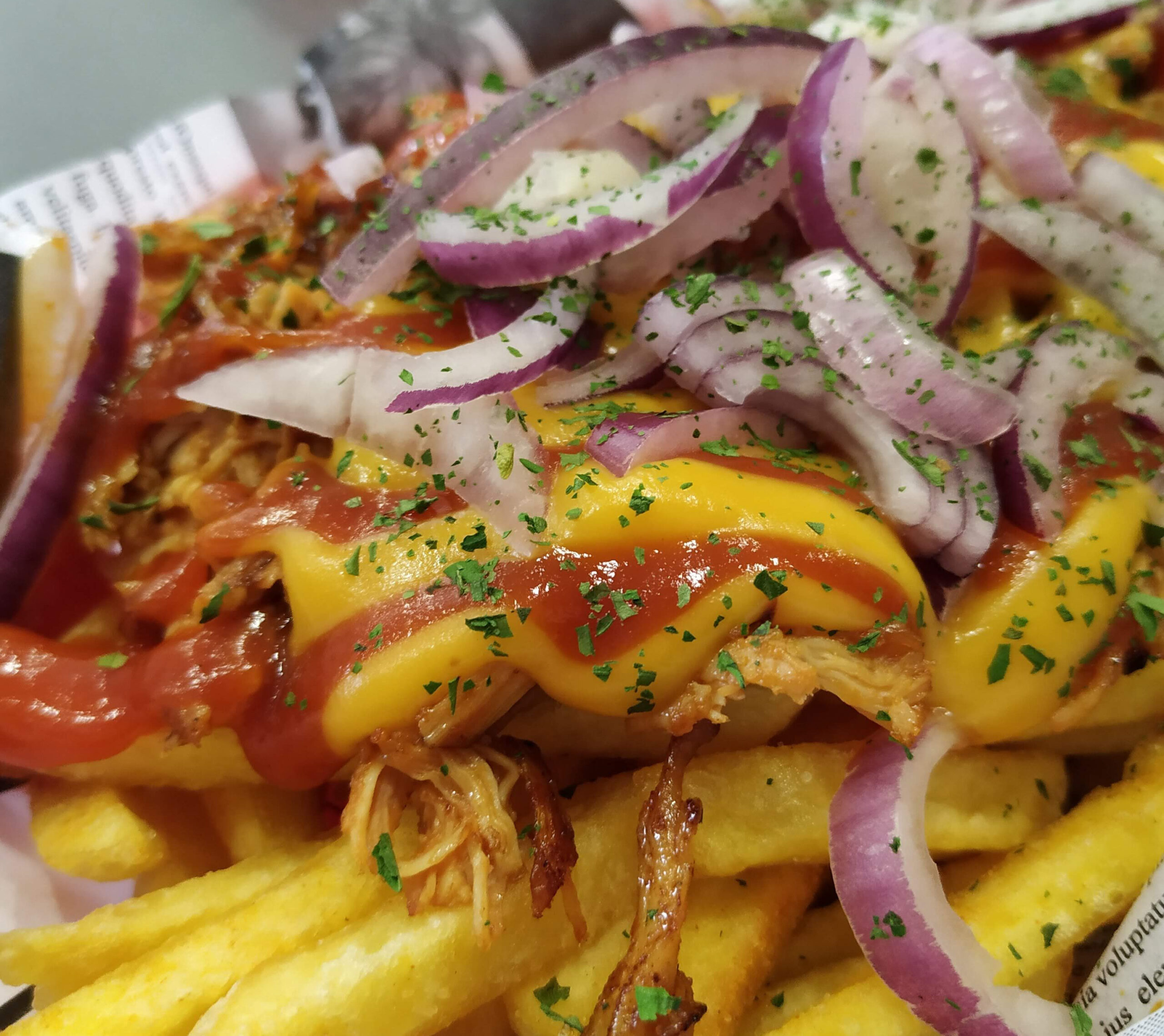 Pulled Chicken Fries